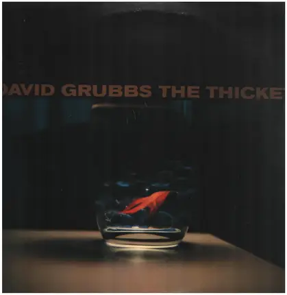 David Grubbs - The Thicket