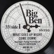 LP - David Gunson - What Goes Up Might Come Down!