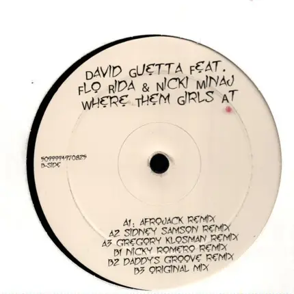 David Guetta Feat. Flo Rida And Nicki Minaj - Where Them Girls At
