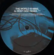 12inch Vinyl Single - David Guetta Feat. JD Davis - The World Is Mine