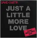 12inch Vinyl Single - David Guetta Featuring Chris Willis - Just A Little More Love