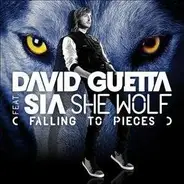 David Guetta Feat. Sia - She Wolf (Falling To Pieces)