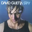 12inch Vinyl Single - David Guetta - Stay