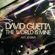12inch Vinyl Single - David Guetta - The World Is Mine