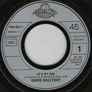 7inch Vinyl Single - David Hallyday - He's My Girl