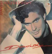 LP - David Hasselhoff - David