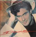 LP - David Hasselhoff - David