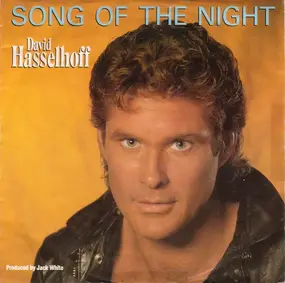 David Hasselhoff - Song Of The Night