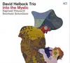 CD - David Helbock Trio , Raphael Preuschl , Reinhold Schmölzer - Into the Mystic - Digipak