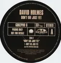 LP - David Holmes - Don't Die Just Yet
