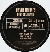 LP - David Holmes - Don't Die Just Yet