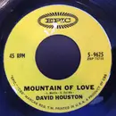 7inch Vinyl Single - David Houston - Mountain Of Love / Angeline