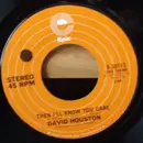 7inch Vinyl Single - David Houston - I'll Be Your Steppin' Stone / Then I'll Know You Care