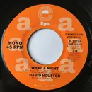 7inch Vinyl Single - David Houston - What A Night