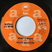 David Houston - What a Night