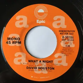 David Houston - What a Night