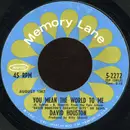 7inch Vinyl Single - David Houston - You Mean The World To Me / Have A Little Faith