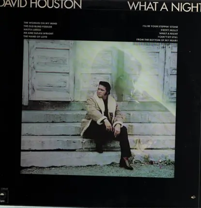 David Houston - What a Night