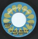 7inch Vinyl Single - David Houston - You Mean The World To Me / Have A Little Faith