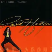 David Hudson - Walkabout