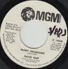 7inch Vinyl Single - David Huff - Glory Hallelujah / Apple Song