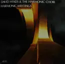 Double LP - David Hykes & The Harmonic Choir - Harmonic Meetings