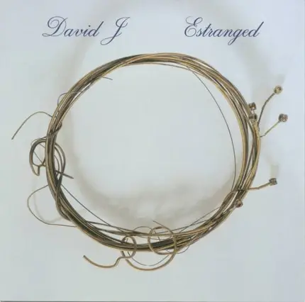 David J - Estranged