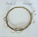 CD - David J - Estranged