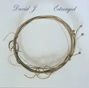 CD - David J - Estranged