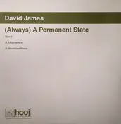 David James - (Always) A Permanent State