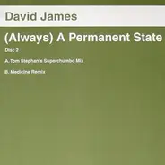 David James - (Always) A Permanent State (Disc Two)