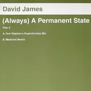 David James - (Always) A Permanent State (Disc Two)