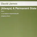 12inch Vinyl Single - David James - (Always) A Permanent State (Disc Two)