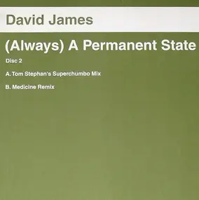 David James - (Always) A Permanent State (Disc Two)