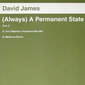 David James - (Always) A Permanent State (Disc Two)