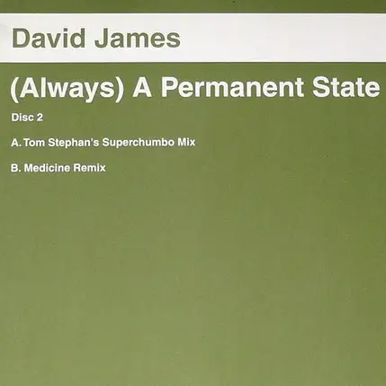 David James - (Always) A Permanent State (Disc Two)