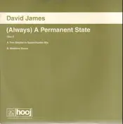 David James - (Always) A Permanent State - Disc 2
