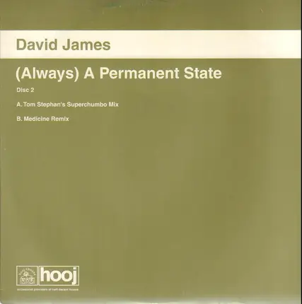 David James - (Always) A Permanent State - Disc 2