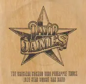 David James - The Original Cuckoo Bird Pineapple Truck (Lone Star Boogie Bar Band) / Lousiana Rebel Man / Woman I
