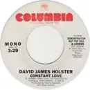 7inch Vinyl Single - David James Holster - Constant Love