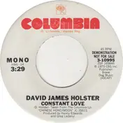 David James Holster - Constant Love