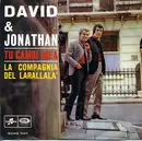 7inch Vinyl Single - David & Jonathan - Tu Cambi Idea