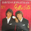 12inch Vinyl Single - David & Jonathan - Bella Vita
