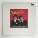 12inch Vinyl Single - David & Jonathan - Bella Vita - Promo