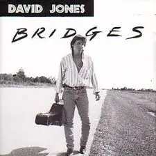 David Jones - Bridges