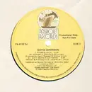 12'' - David Johansen - King Of Babylon - Promo