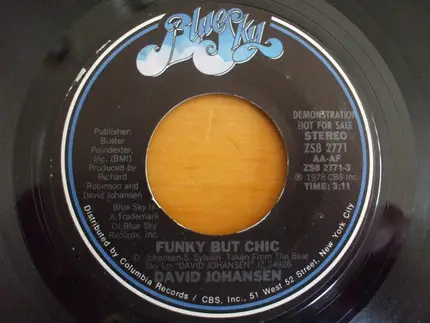 David Johansen - Funky But Chic