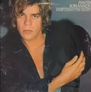 LP - David Johansen - Here Comes The Night