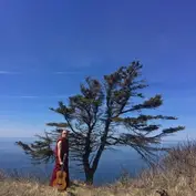 Hinterground / Indigo