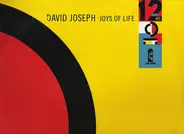 David Joseph - Joys Of Life